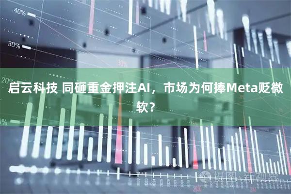 启云科技 同砸重金押注AI，市场为何捧Meta贬微软？